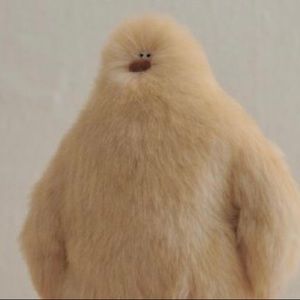 Meet your Posher, Josh